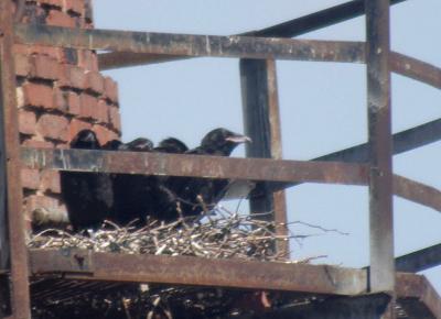 Прикрепленное изображение: 003.jpg